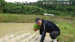 よかとこ契約田んぼの田植え