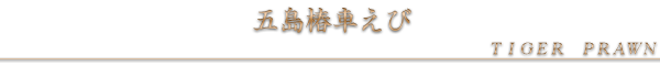 五島椿車えび