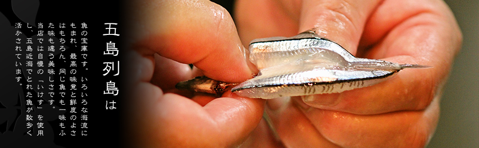 五島列島は魚の宝庫です